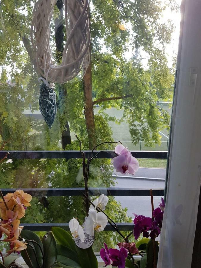 Studio Apartman Zagreb Zapad Vrapce Экстерьер фото